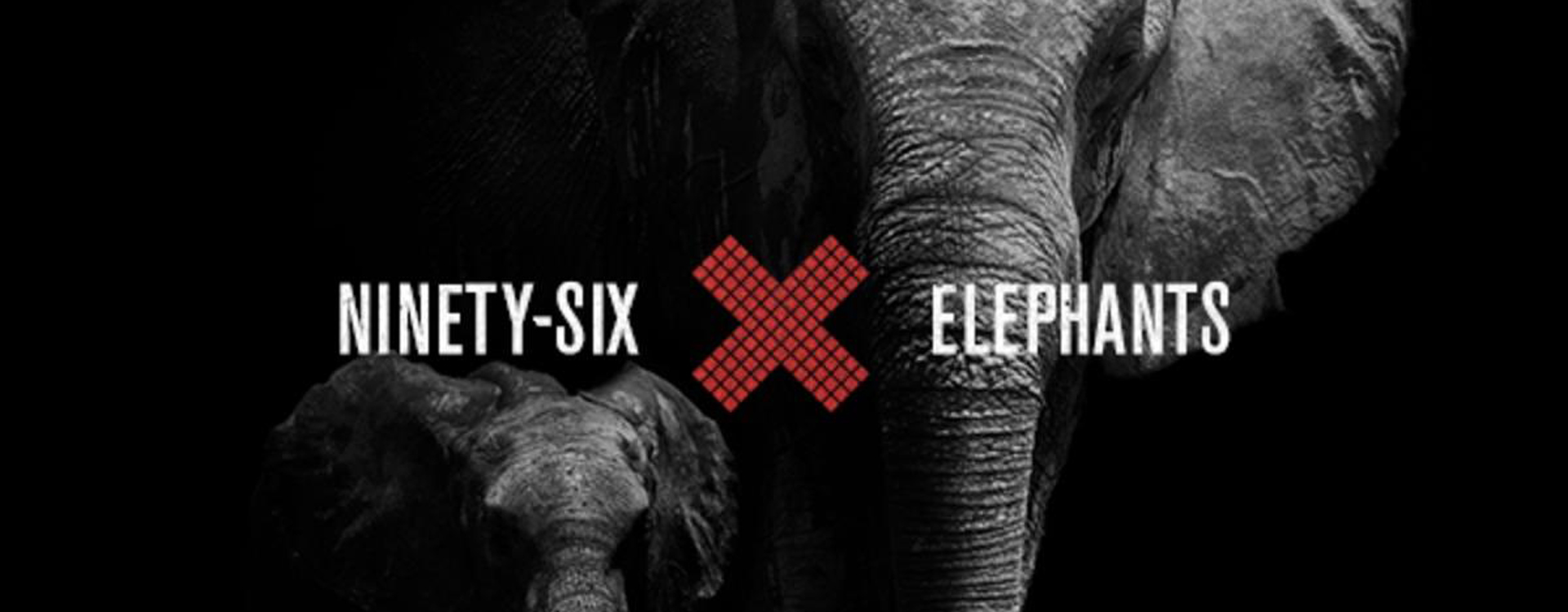 WCS’s Kicks off Third Phase of 96 Elephants Campaign