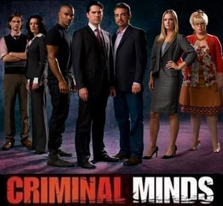 “Street Fighting Man” on Criminal Minds